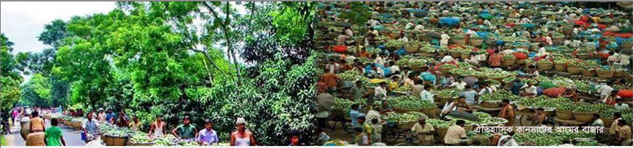 ঐতিহাসিক কানসাটের আমের বাজার