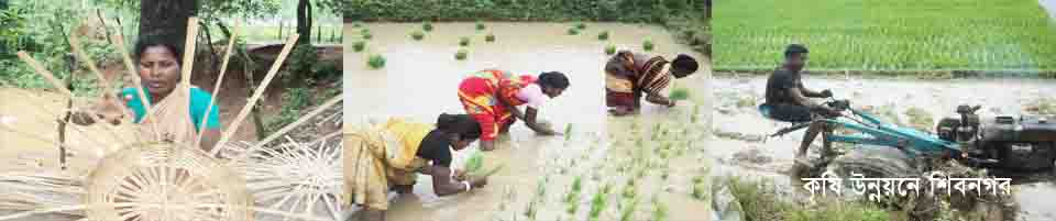 গ্রামীন সমাজের কৃষির অবস্থা