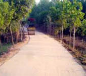 প্রকৌশল