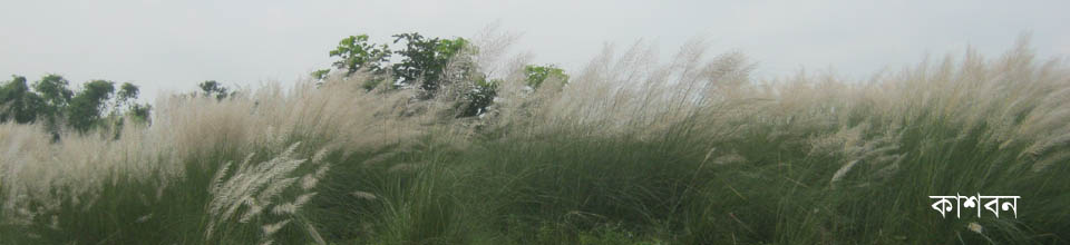 শিবরামপুর ইউআইএসসি