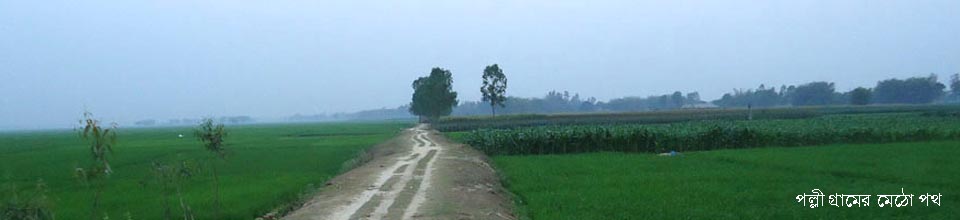 আরাজী লস্করা