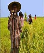 কৃষি ও প্রাণিসম্পদ