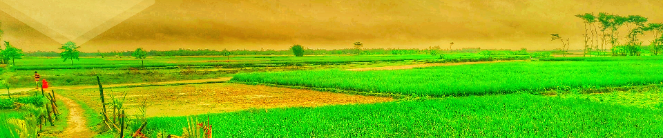 চর উত্তর তিলাই
