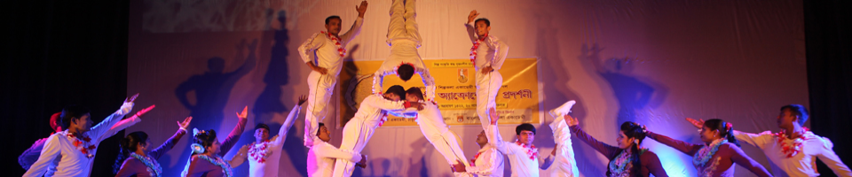 জেলা শিল্পকলা একাডেমি, ঠাকুরগাঁও