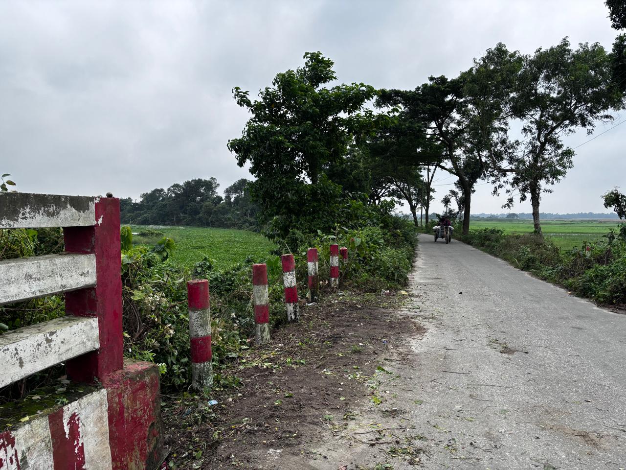 শিমুলিয়া ইউনিয়ন এর শিমুলিয়া মোড় হতে তারাইল রাস্তার দুপাশে জঙ্গল ও আগাছার কারণে দূর্ঘটনা প্রবন অনিরাপদ থাকার কারণে ইউনিয়ন পরিষদের মাধ্যমে জঙ্গল পরিস্কার করা হচ্ছে।