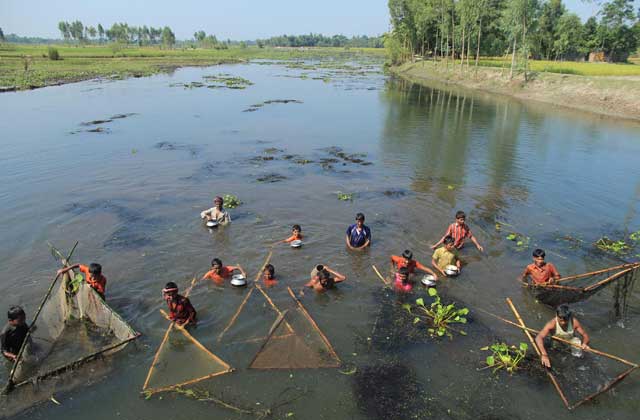 বিবিধ