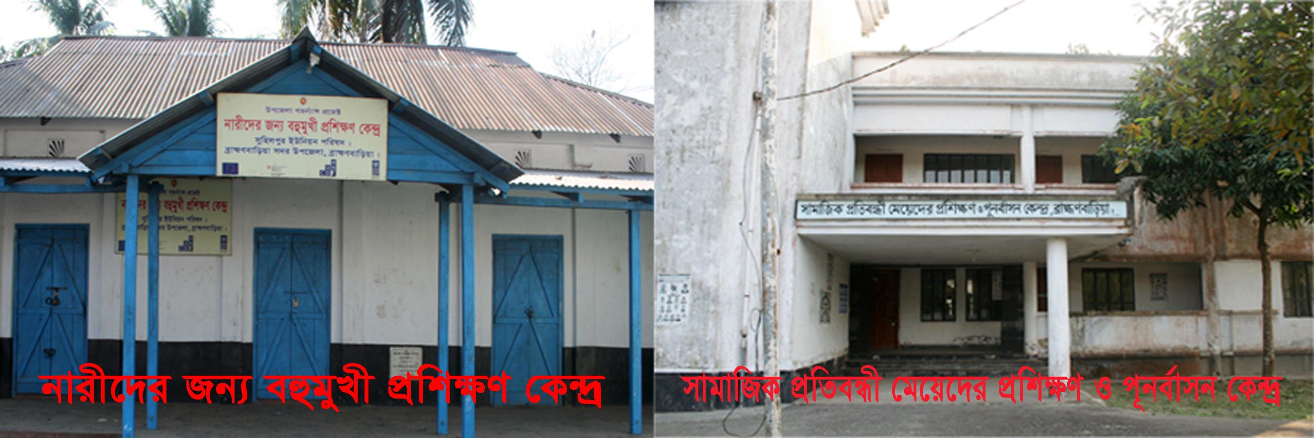 নারী উন্নয়ন, সমাজ সেবা