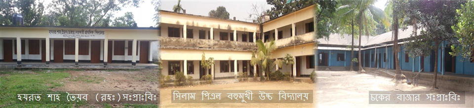 শিক্ষা প্রতিষ্ঠান