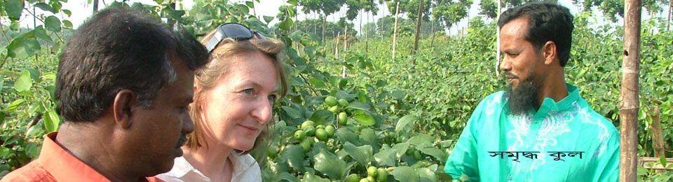 ছলিমপুর