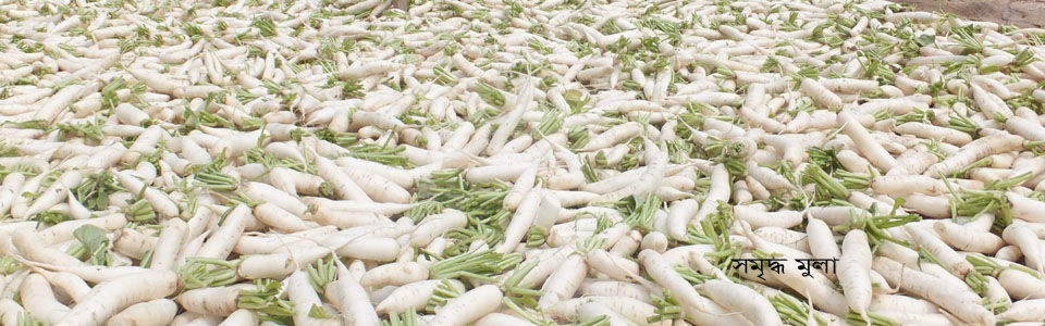 ছলিমপুর