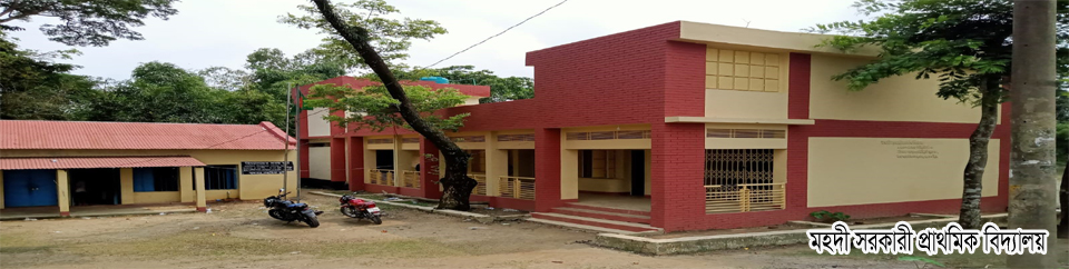 মহদী সরকারী প্রাথমিক বিদ্যালয়