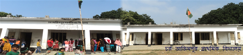 চর আজিমপুর প্রাথমিক বিদ্যালয়