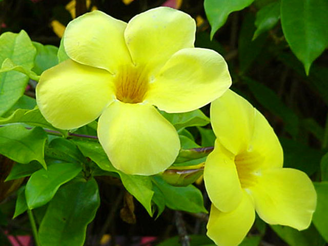 ফটো গ্যালারী