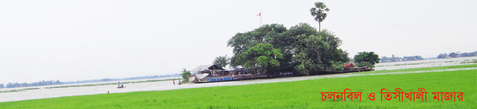 চলনবিল ও তিসীখালি মাজার।