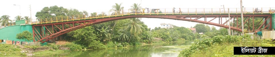 ইলিয়ট ব্রীজ