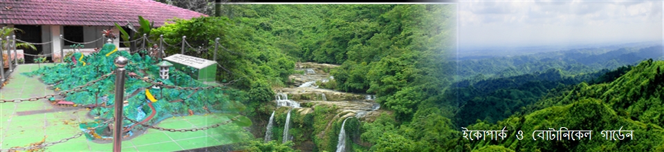 ইকোপার্ক ও বোটানিকেল গার্ডেন