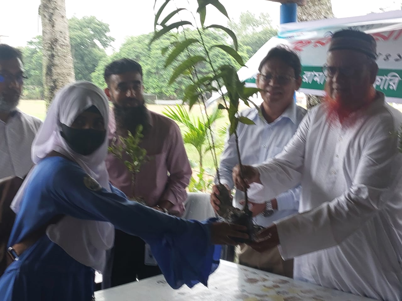 বৃক্ষ রোপন