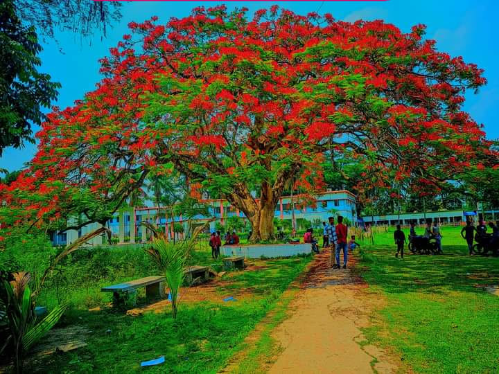 ছবি