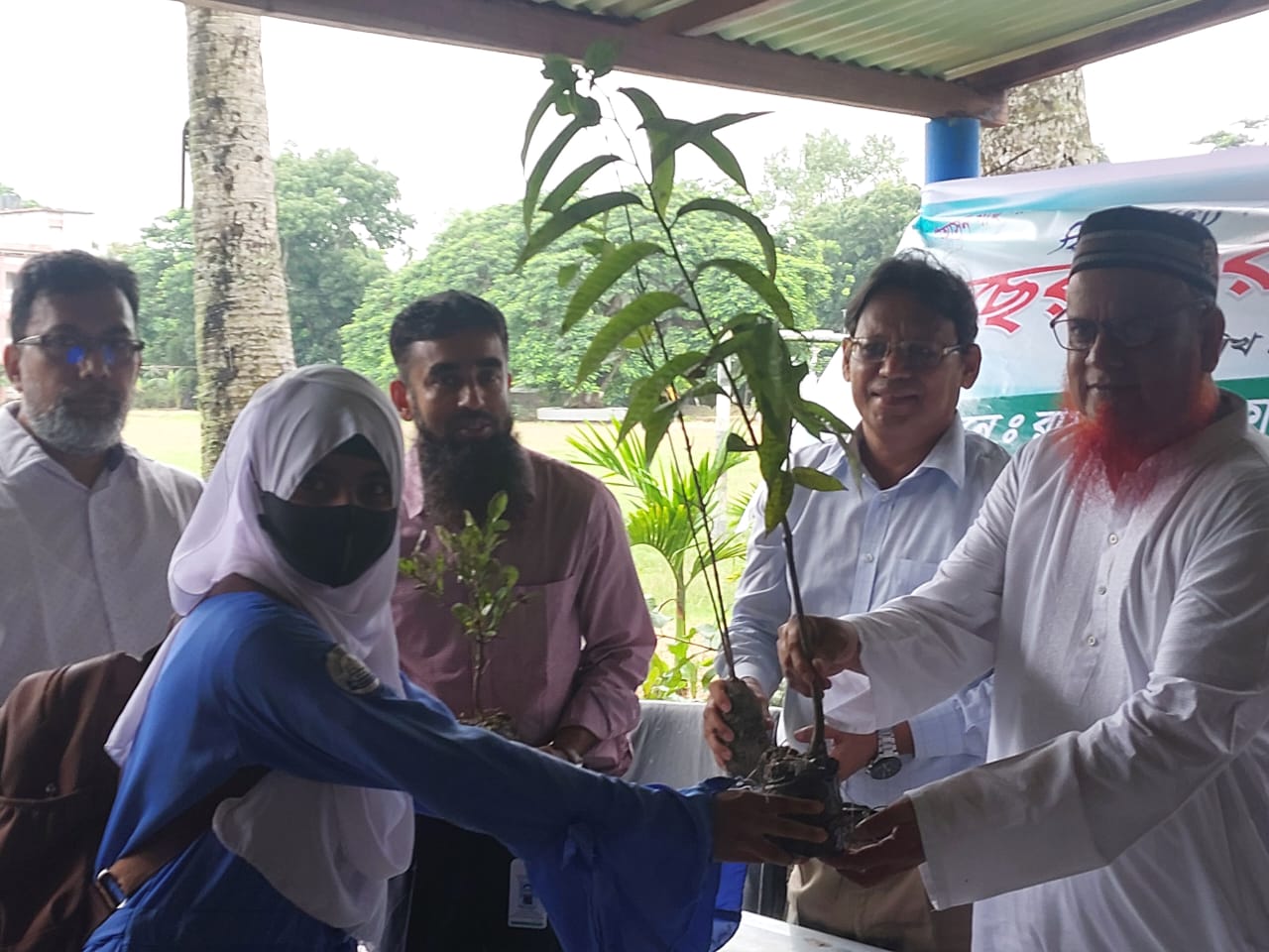 বৃক্ষ রোপন