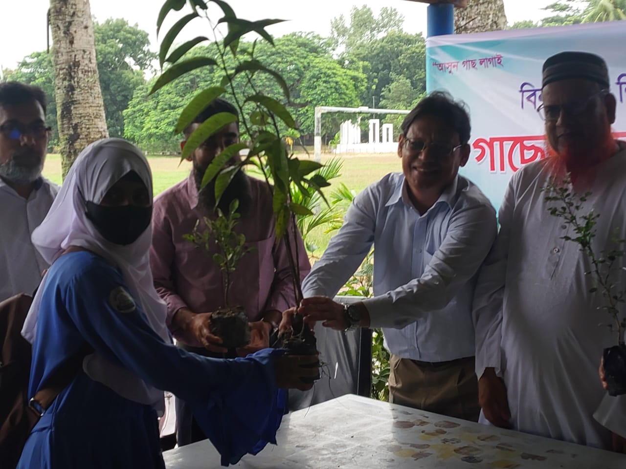 বৃক্ষ রোপন