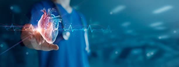 ডিজিটাল হার্ট