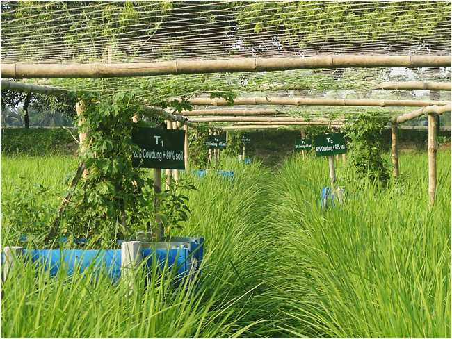 Service Process Simplification