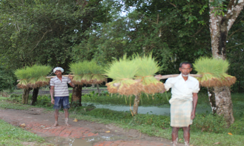 কৃষি ও প্রাণী সম্পদ