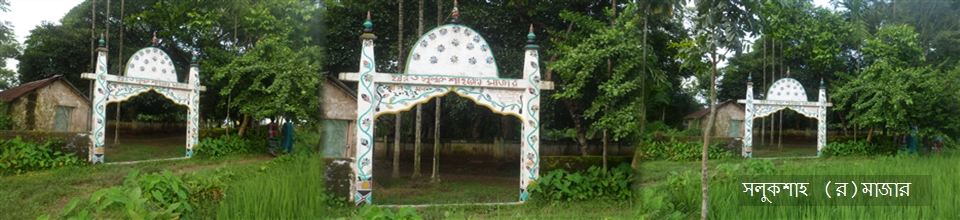 সলুকশাহ (র) এর মাজারস শরীফ