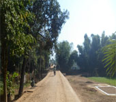 প্রকৌশল