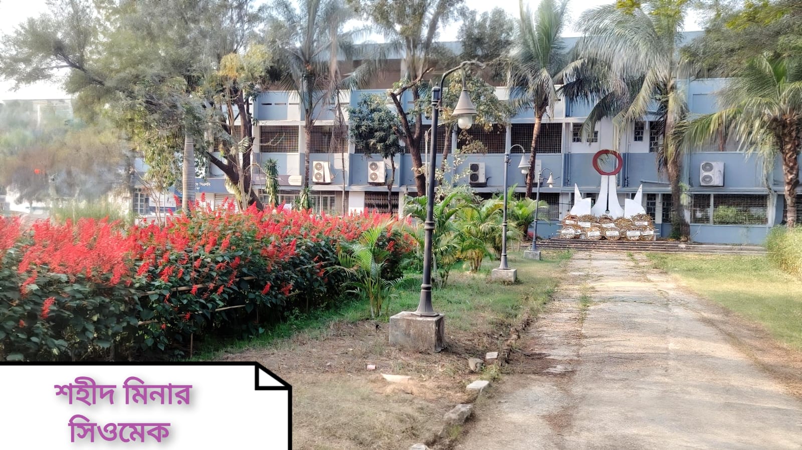 সিওমেক, শহীদ মিনারের ছবি