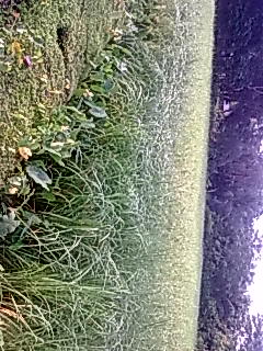 কৃষি ও প্রাণিসম্পদ