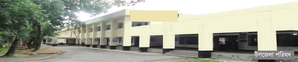 সোনাগাজী উপজেলা পরিষদ