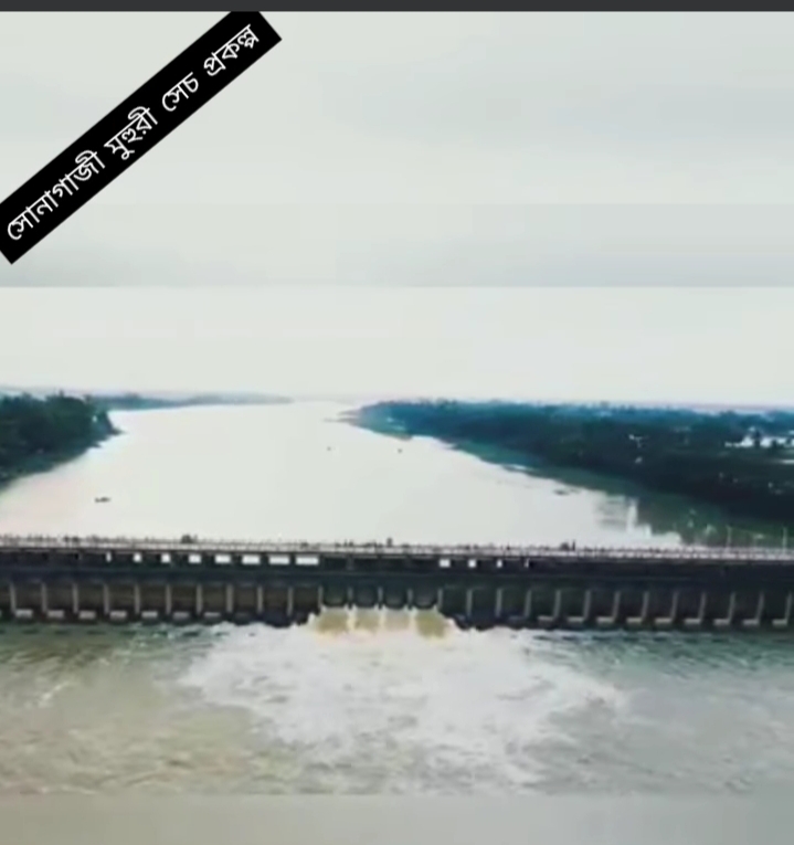 সোনাগাজী ইউনিয়ন পরিষদ