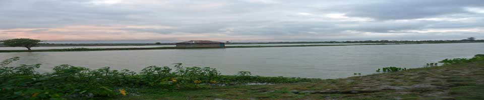 মৎস খামার প্রকল্প