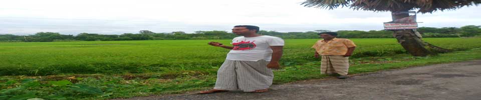 সোনাগাজী্ ইউনিয়ন পরিষদোর কৃষি