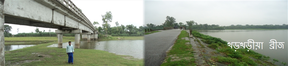 সোনাহার মল্লিকাদহ ইউনিয়ন