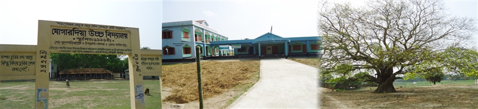 সোনাপুর ইউনিয়ন পরিষদ এবং যোগারদিয়া উচ্চ বিদ্যালয় ও প্রাচীন বটপাকড় গাছ ।