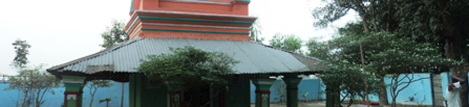 ইউ পি