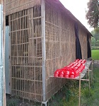 কৃষি ও প্রাণিসম্পদ