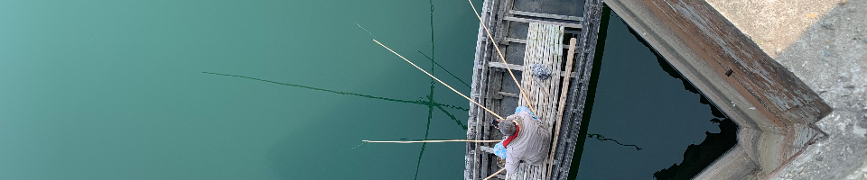 গ্রোইন বাধ