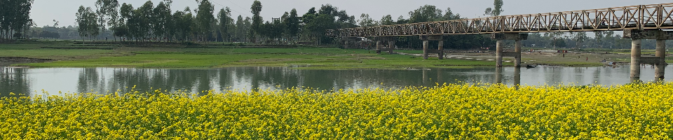 আড়িয়াঘাট ব্রিজ