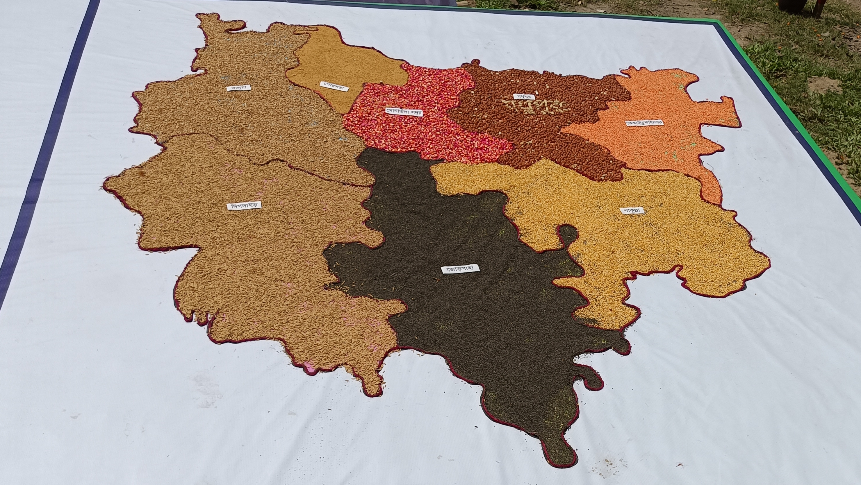 শস্যদানায় সোনাতলা উপজেলা