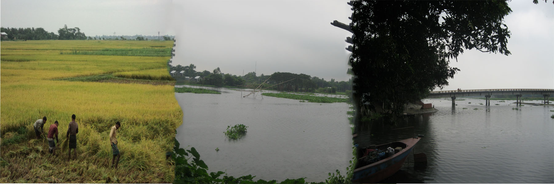 নদী-বিল