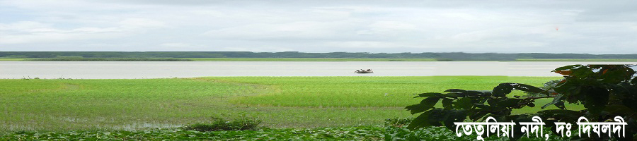 দঃ দিঘলদী ইউনিয়ন পরিষদ, বাঘমারা তেতুলিয়া নদী