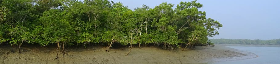 সাউথখালী ইউনিয়নের দর্শনীয় স্থান