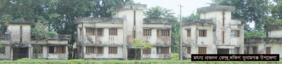 মৎস্য হ্যাচারী