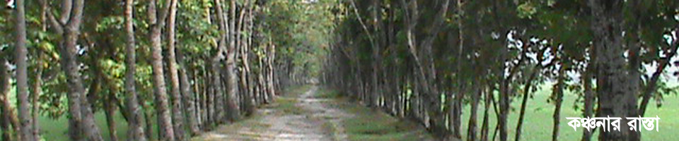 সয়ার ইউনিয়ন