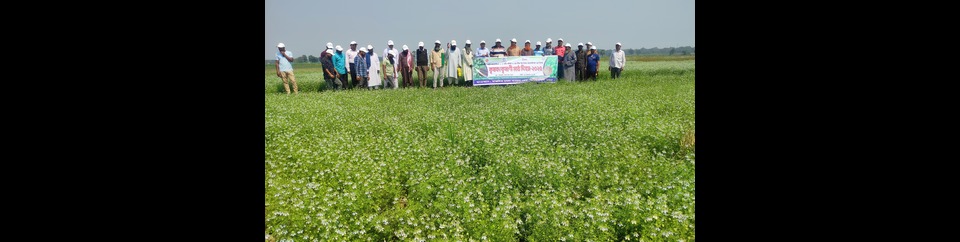 মাঠ দিবস