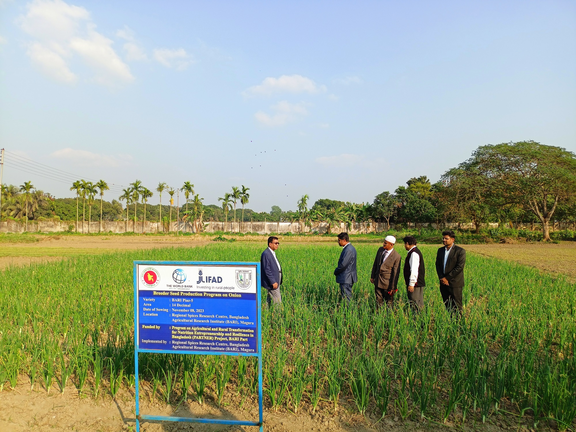 ডিজি স্যার