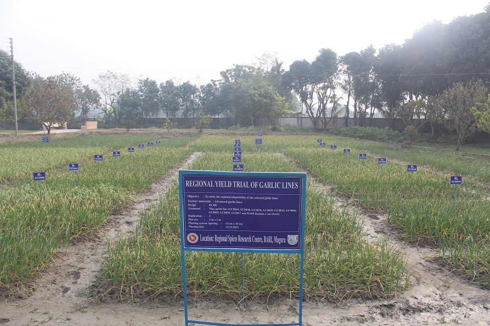 গবেষণা মাঠ